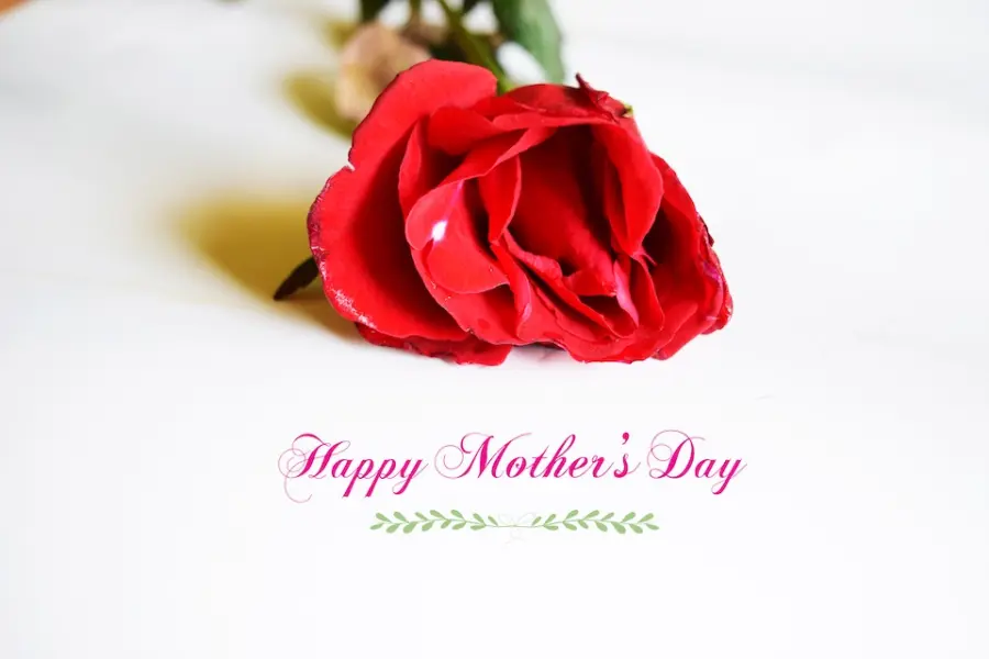 Regali fai da te da realizzare per la festa della mamma: sbizzarrisciti con questi